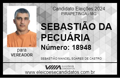 Candidato SEBASTIÃO DA PECUÁRIA 2024 - PIRAPETINGA - Eleições