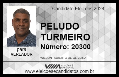 Candidato PELUDO TURMEIRO 2024 - FRUTAL - Eleições