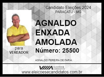 Candidato AGNALDO ENXADA AMOLADA 2024 - PARACATU - Eleições