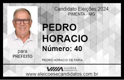 Candidato PEDRO HORACIO 2024 - PIMENTA - Eleições