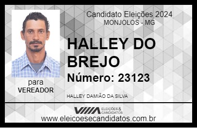 Candidato HALLEY DO BREJO 2024 - MONJOLOS - Eleições