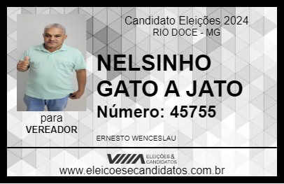 Candidato NELSINHO GATO A JATO 2024 - RIO DOCE - Eleições