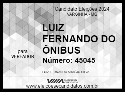 Candidato LUIZ FERNANDO DO ÔNIBUS 2024 - VARGINHA - Eleições