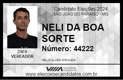 Candidato NELI DA BOA SORTE 2024 - SÃO JOÃO DO PARAÍSO - Eleições