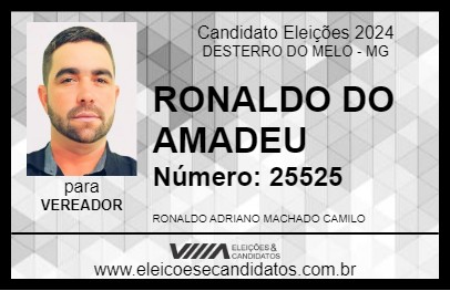 Candidato RONALDO DO AMADEU 2024 - DESTERRO DO MELO - Eleições