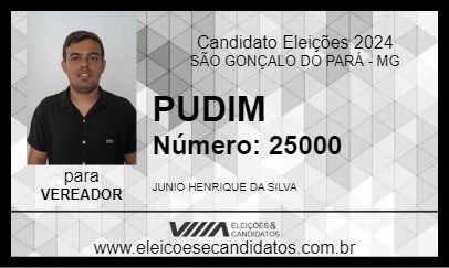 Candidato PUDIM 2024 - SÃO GONÇALO DO PARÁ - Eleições