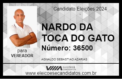 Candidato NARDO DA TOCA DO GATO 2024 - BOA ESPERANÇA - Eleições