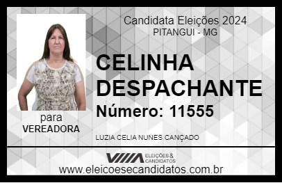 Candidato CELINHA DESPACHANTE 2024 - PITANGUI - Eleições