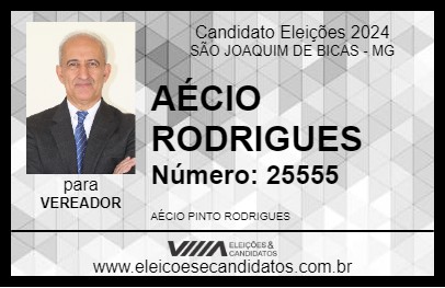 Candidato AÉCIO RODRIGUES 2024 - SÃO JOAQUIM DE BICAS - Eleições