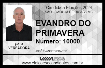 Candidato EVANDRO DO PRIMAVERA 2024 - SÃO JOAQUIM DE BICAS - Eleições