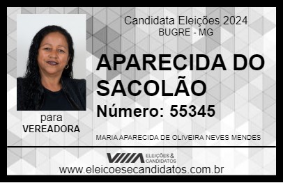 Candidato APARECIDA DO SACOLÃO 2024 - BUGRE - Eleições