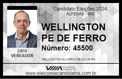 Candidato WELLINGTON PE DE FERRO 2024 - ALFENAS - Eleições