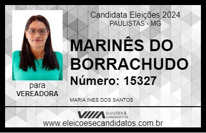 Candidato MARINÊS DO BORRACHUDO 2024 - PAULISTAS - Eleições