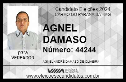 Candidato AGNEL DAMASO 2024 - CARMO DO PARANAÍBA - Eleições