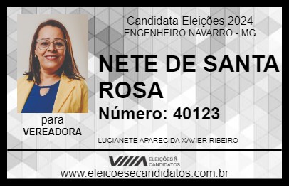 Candidato NETE DE SANTA ROSA 2024 - ENGENHEIRO NAVARRO - Eleições