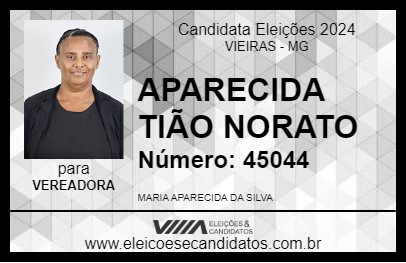 Candidato APARECIDA TIÃO NORATO 2024 - VIEIRAS - Eleições