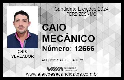 Candidato CAIO MECÂNICO 2024 - PERDIZES - Eleições