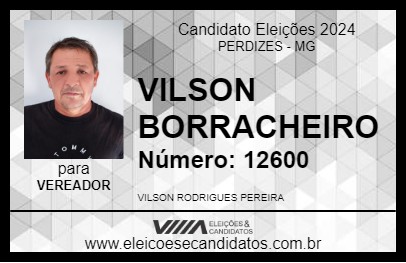 Candidato VILSON BORRACHEIRO 2024 - PERDIZES - Eleições