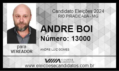 Candidato ANDRE BOI 2024 - RIO PIRACICABA - Eleições