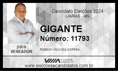 Candidato GIGANTE 2024 - LAVRAS - Eleições