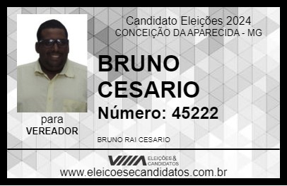 Candidato BRUNO CESARIO 2024 - CONCEIÇÃO DA APARECIDA - Eleições