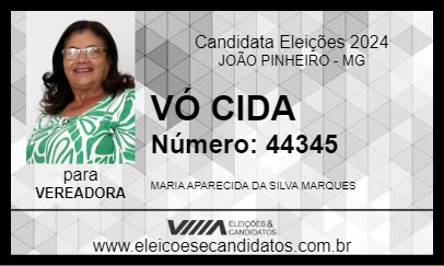 Candidato VÓ CIDA 2024 - JOÃO PINHEIRO - Eleições