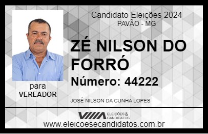 Candidato ZÉ NILSON DO FORRÓ 2024 - PAVÃO - Eleições