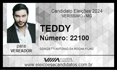 Candidato TEDDY 2024 - VERÍSSIMO - Eleições