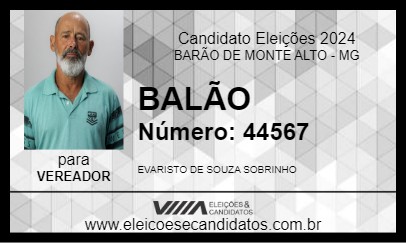 Candidato BALÃO 2024 - BARÃO DE MONTE ALTO - Eleições