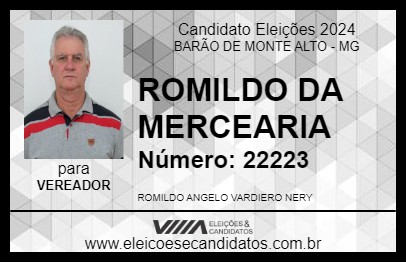 Candidato ROMILDO DA MERCEARIA 2024 - BARÃO DE MONTE ALTO - Eleições