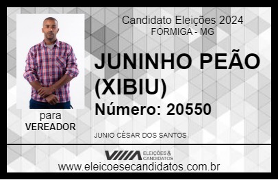 Candidato JUNINHO PEÃO (XIBIU) 2024 - FORMIGA - Eleições