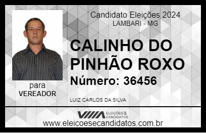 Candidato CALINHO DO PINHÃO ROXO 2024 - LAMBARI - Eleições