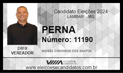 Candidato PERNA 2024 - LAMBARI - Eleições