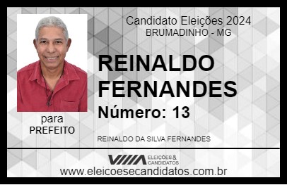 Candidato REINALDO FERNANDES 2024 - BRUMADINHO - Eleições