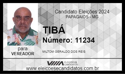 Candidato TIBÁ 2024 - PAPAGAIOS - Eleições