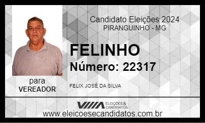 Candidato FELINHO 2024 - PIRANGUINHO - Eleições