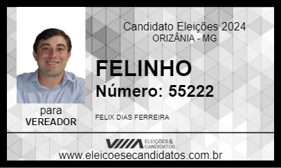 Candidato FELINHO 2024 - ORIZÂNIA - Eleições