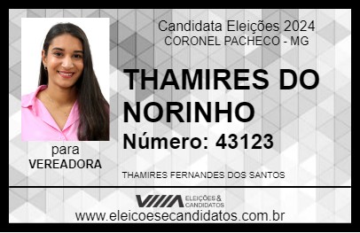 Candidato THAMIRES DO NORINHO 2024 - CORONEL PACHECO - Eleições