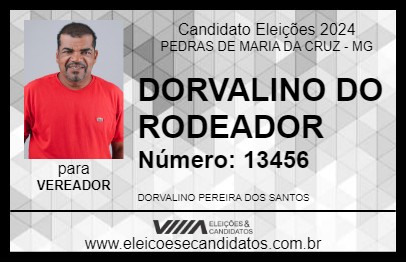 Candidato DORVALINO DO RODEADOR 2024 - PEDRAS DE MARIA DA CRUZ - Eleições