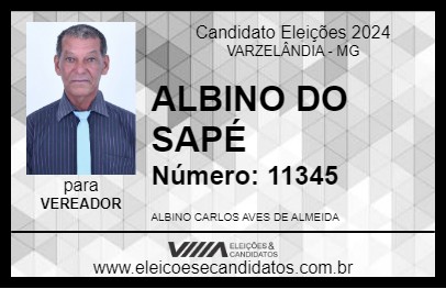 Candidato ALBINO DO SAPÉ 2024 - VARZELÂNDIA - Eleições