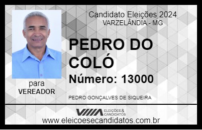 Candidato PEDRO DO COLÓ 2024 - VARZELÂNDIA - Eleições