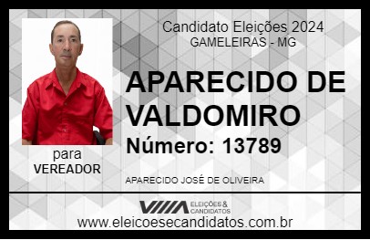 Candidato APARECIDO DE VALDOMIRO 2024 - GAMELEIRAS - Eleições