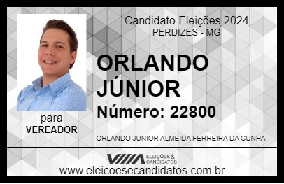 Candidato ORLANDO JÚNIOR 2024 - PERDIZES - Eleições