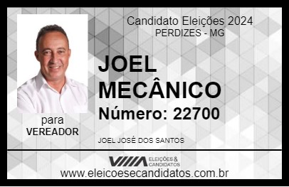 Candidato JOEL MECÂNICO 2024 - PERDIZES - Eleições