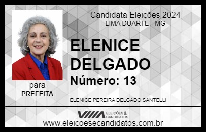 Candidato ELENICE DELGADO 2024 - LIMA DUARTE - Eleições