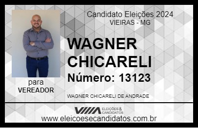 Candidato WAGNER CHICARELI 2024 - VIEIRAS - Eleições