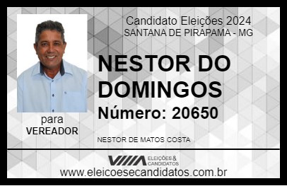 Candidato NESTOR DO DOMINGOS 2024 - SANTANA DE PIRAPAMA - Eleições