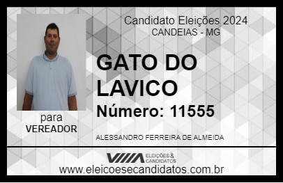 Candidato GATO DO LAVICO 2024 - CANDEIAS - Eleições