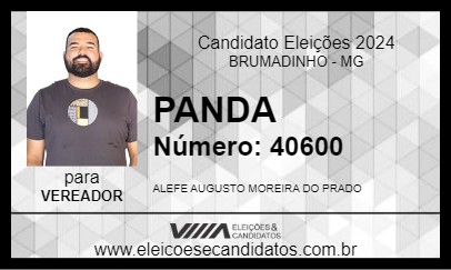 Candidato PANDA 2024 - BRUMADINHO - Eleições