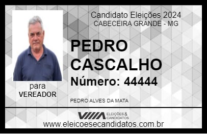 Candidato PEDRO CASCALHO 2024 - CABECEIRA GRANDE - Eleições